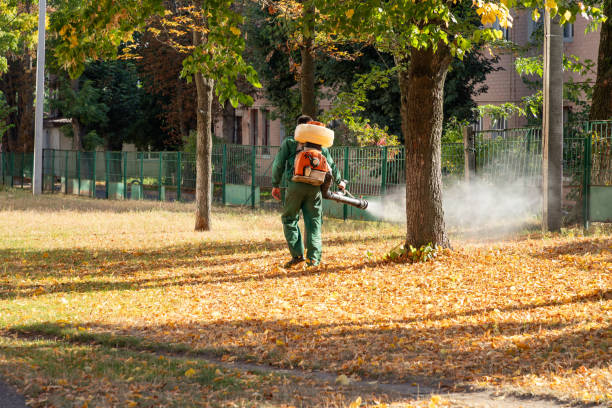 Best Flea Control Services  in Nashville, TN