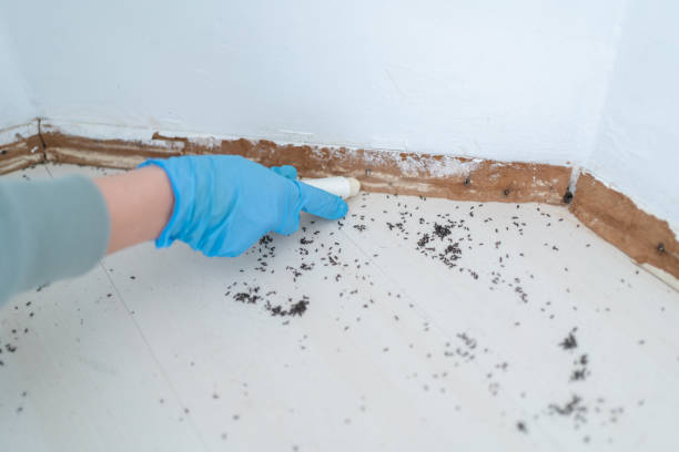 Best Pest Prevention Services  in Nashville, TN