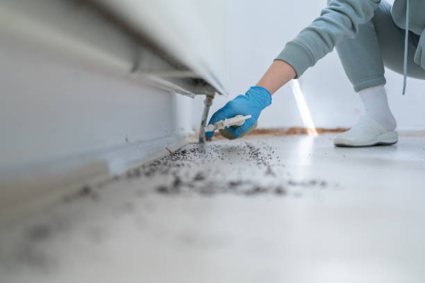 Best Best Pest Control Companies  in Nashville, TN